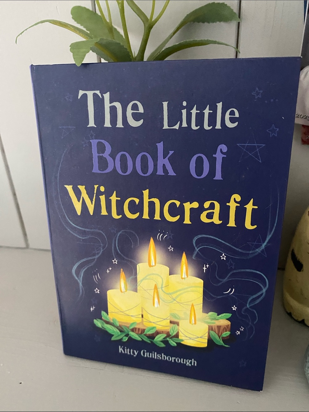 The Little Book of Witchcraft